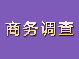 永嘉商务调查